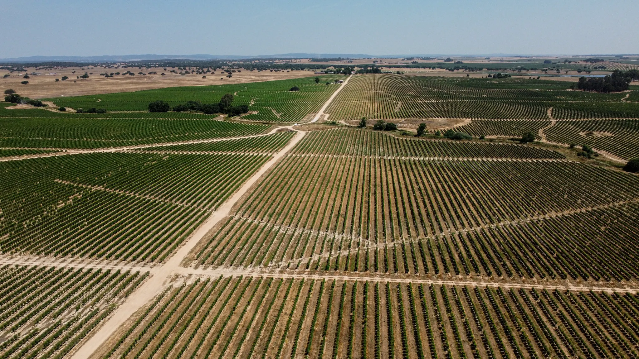 Vista aérea de una finca de ISFA con sus caminos y parcelas