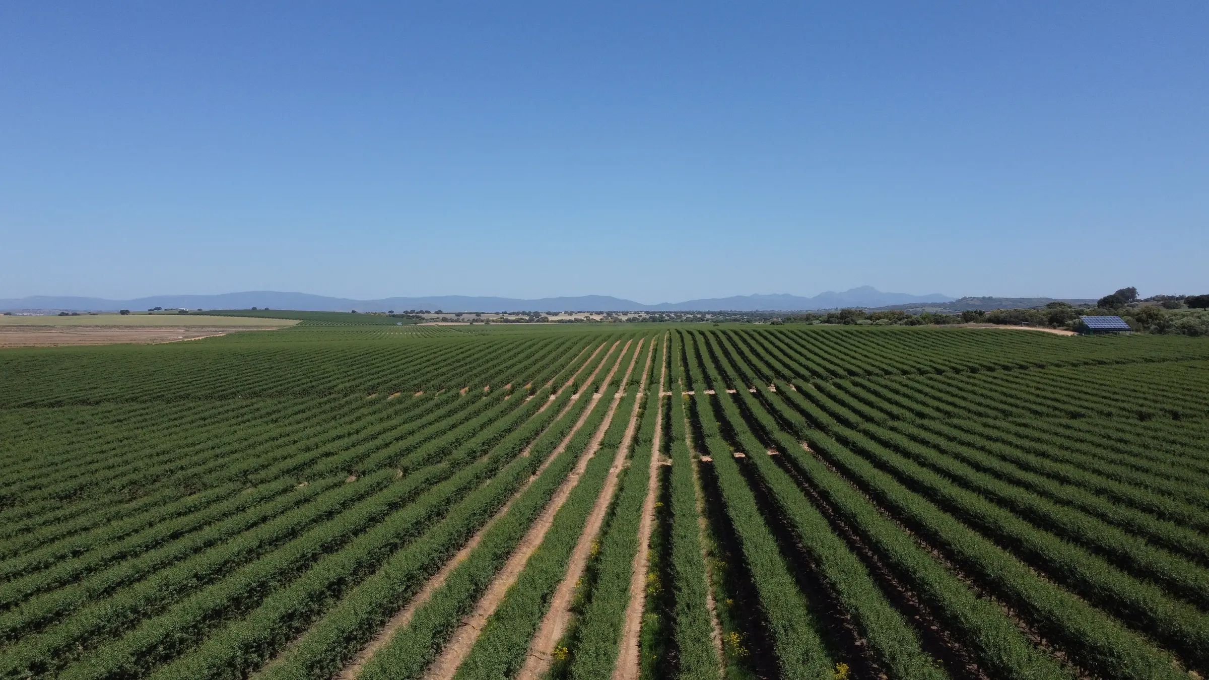 Finca de ISFA vista desde el aire con la sierra al fondo