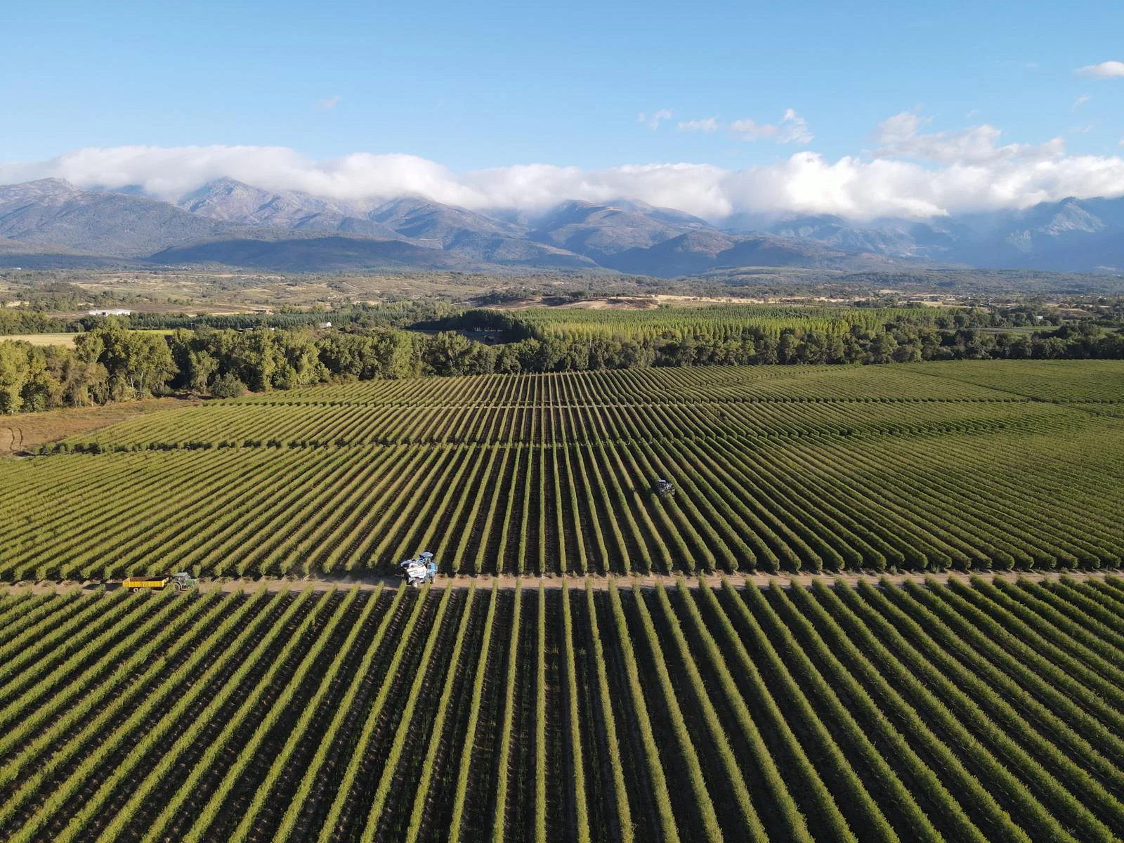 Vista aérea de una finca de ISFA con maquinaria de cosecha y la sierra al fondo