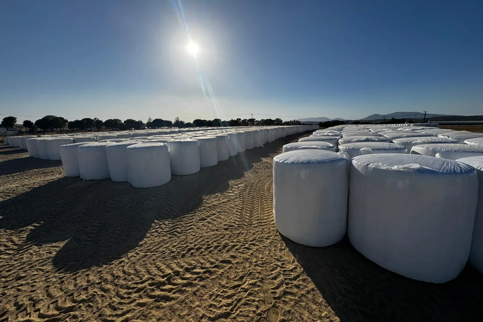 Balas de capota de almendra de 700 kg apiladas en la planta de Miajadas