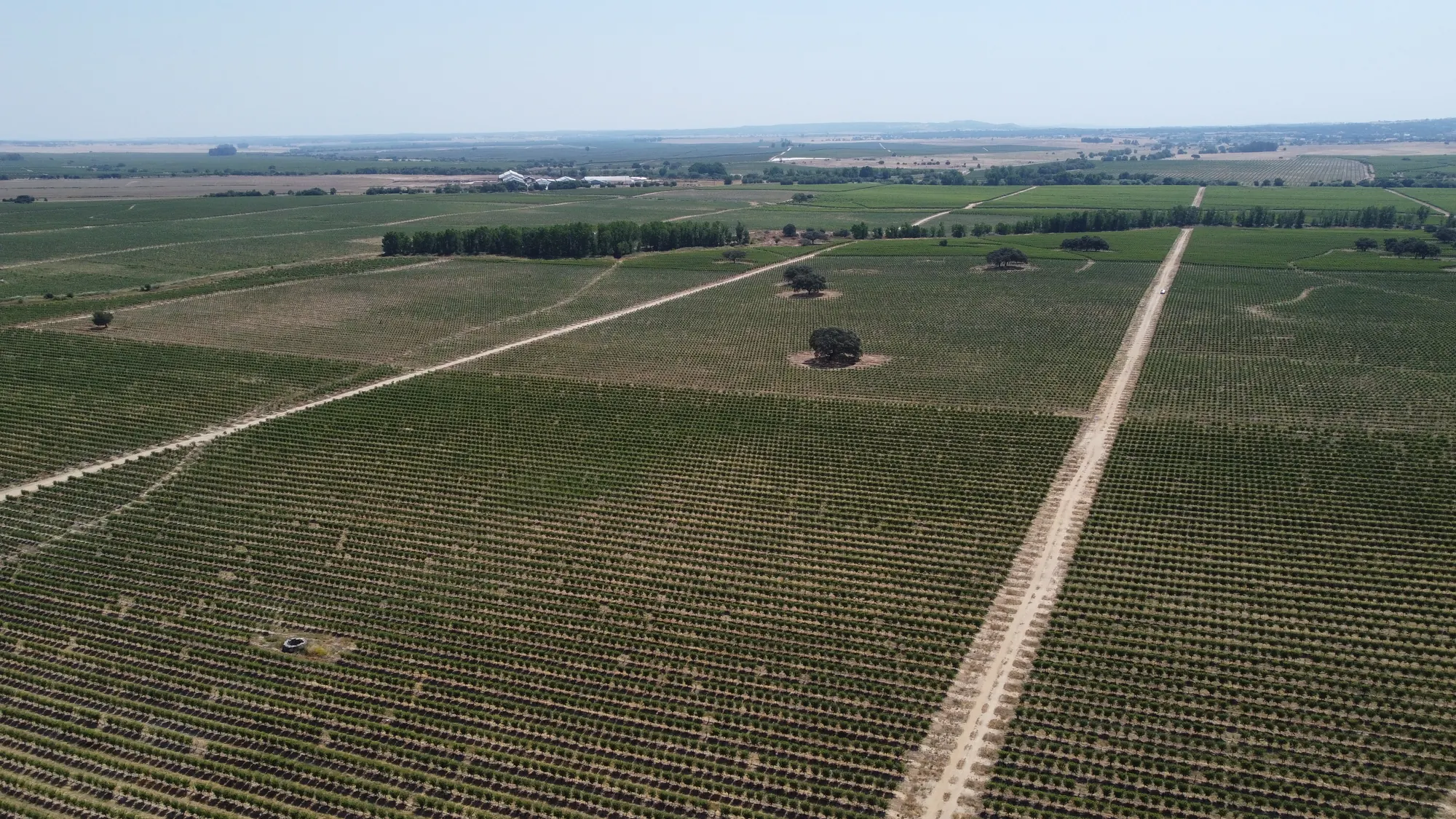 Vista aérea de una finca de ISFA con sus caminos y parcelas