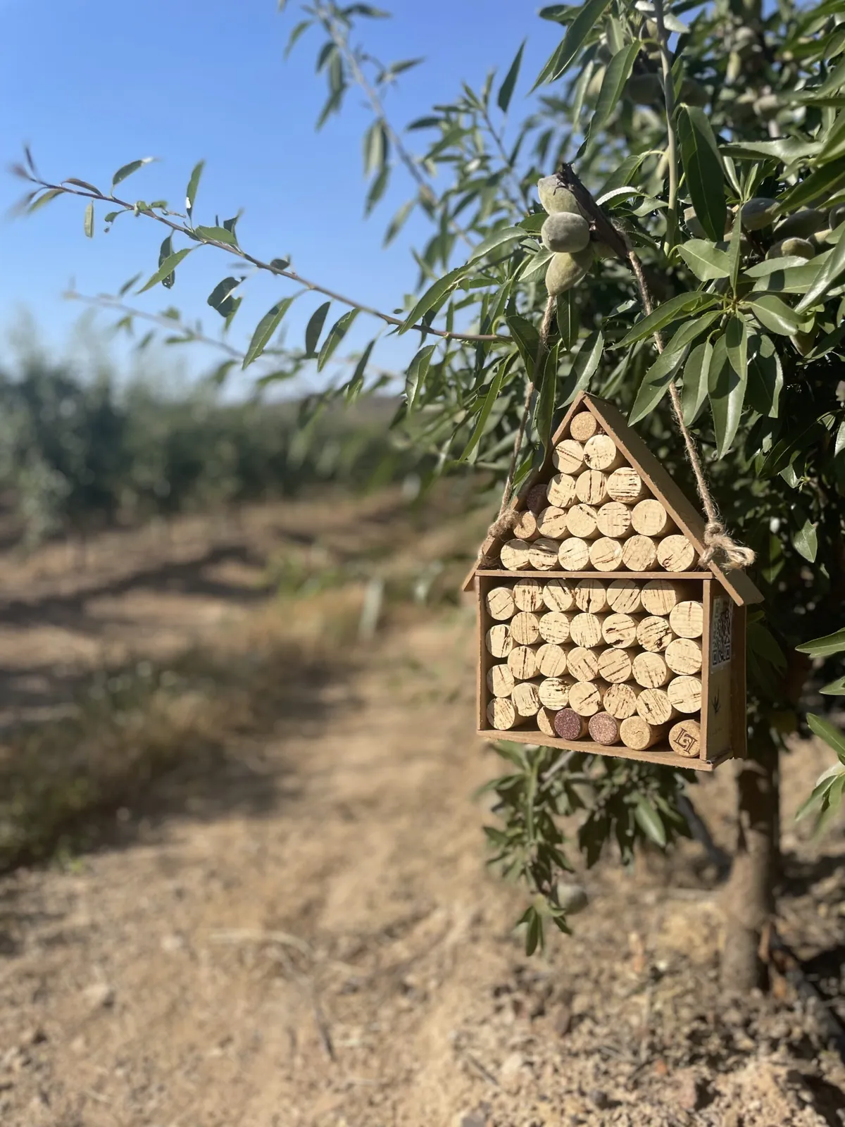 Hotel de insectos colgado en un almendro